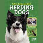 Collies, Corgies, and Other Herding Dogs