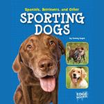 Spaniels, Retrievers, and Other Sporting Dogs