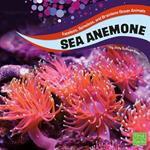 Sea Anemones