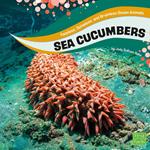 Sea Cucumbers