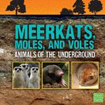 Meerkats, Moles, and Voles