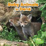 Baby Animals in Dens