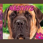 Mastiffs