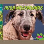 Irish Wolfhounds