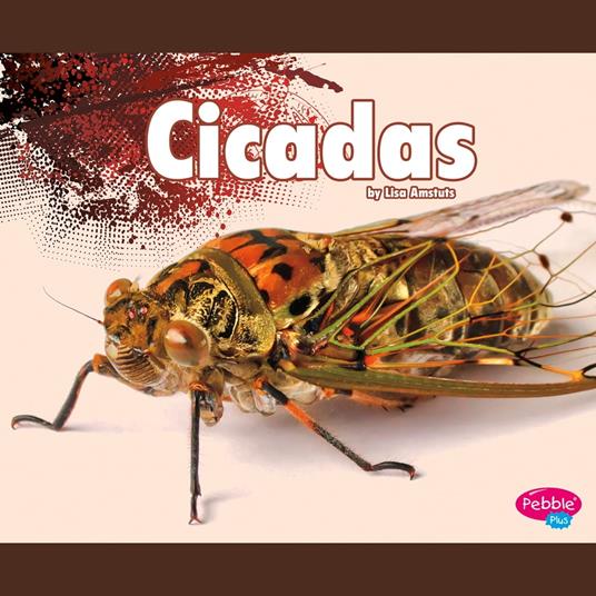 Cicadas