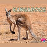 Kangaroos