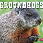 Groundhogs