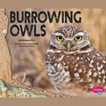 Burrowing Owls