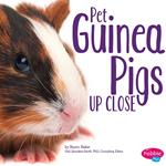 Pet Guinea Pigs Up Close