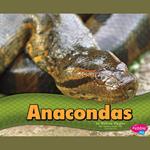 Anacondas