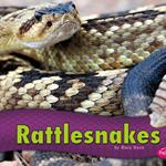 Rattlesnakes