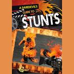 Daredevil's Guide to Stunts, A