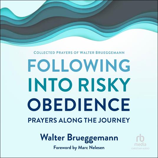 Following into Risky Obedience