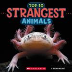 Top Ten Strangest Animals (Wild World)