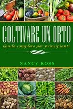 Coltivare un orto: Guida completa per principianti