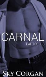 Carnal: Partes 1-3