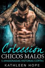 Colección chicos malos: 5 apasionadas historias cortas