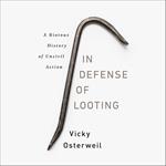 In Defense of Looting