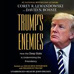 Trump's Enemies