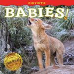 Coyote Babies!