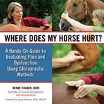 Where Does My Horse Hurt?