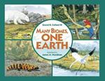 Many Biomes, One Earth