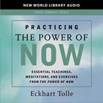 Practicing the Power of Now