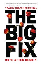 The Big Fix