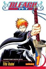 Bleach, Vol. 1