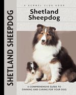 Shetland Sheepdog