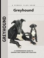 Greyhound