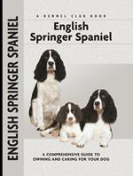 English Springer Spaniel