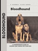 Bloodhound