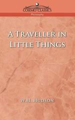 A Traveller in Little Things