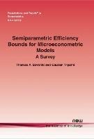 Semiparametric Efficiency Bounds for Microeconometric Models: A Survey