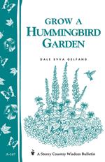 Grow a Hummingbird Garden