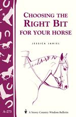 Choosing the Right Bit for Your Horse