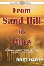 From Sand Hill to Pine (Large Print Edition)