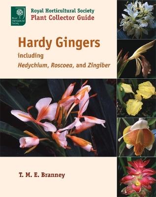 Hardy Gingers: including Hedychium, Roscoea, and Zingiber - T. M. E. Branney - cover