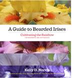 A Guide to Bearded Irises