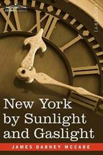 New York by Sunlight and Gaslight: A Work Descriptive of the Great American Metropolis