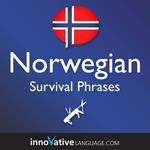 Learn Norwegian: Survival Phrases Norwegian