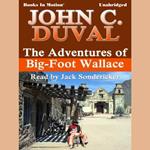 The Adventures of Big-Foot Wallace