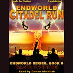 Endworld: Citadel Run