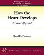 How the Heart Develops