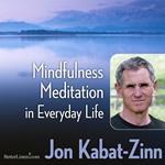 Mindfulness Meditation in Everyday Life