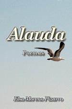 Alauda