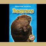 Beavers