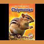 Chipmunks