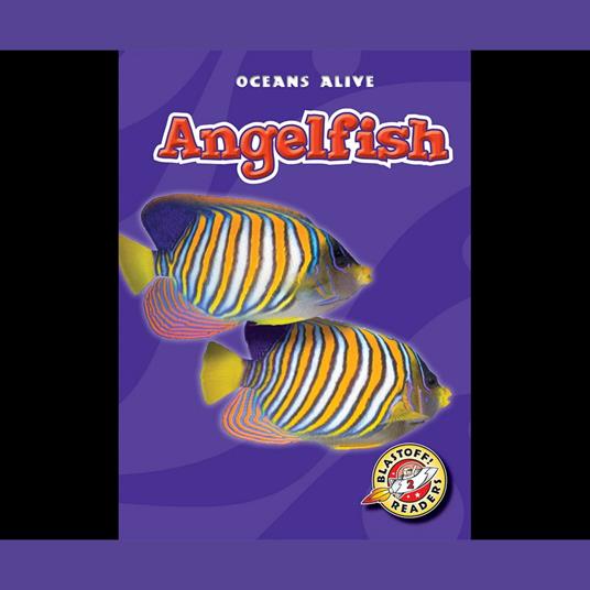 Angelfish